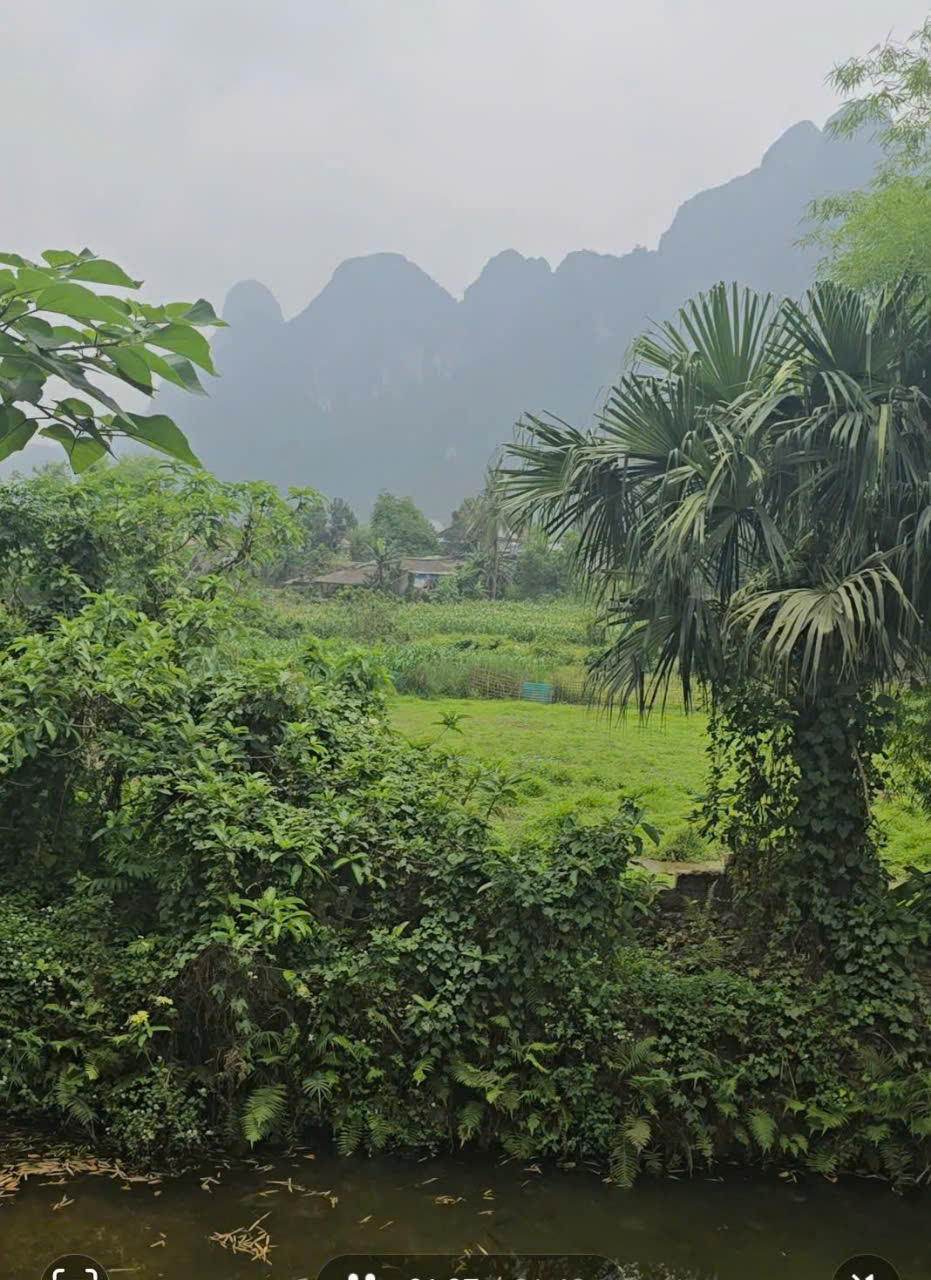 Bán 1500M_400M đất ở lô góc bám 2 mặt đường_có ao thả cá_Lạc Thuỷ Hoà Bình_2,x tỷ - Ảnh 2